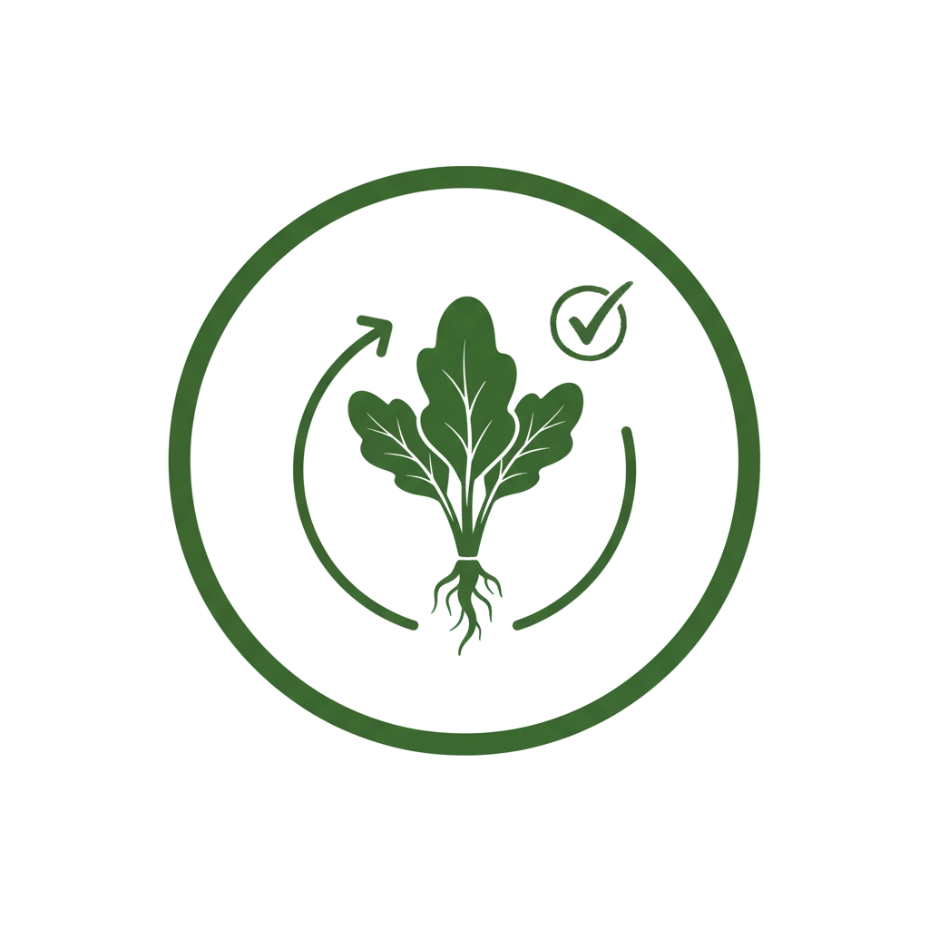 Rau sạch 100% tươi